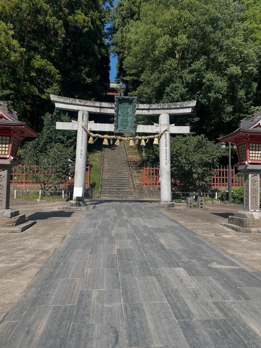 画像551
