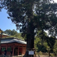 画像558