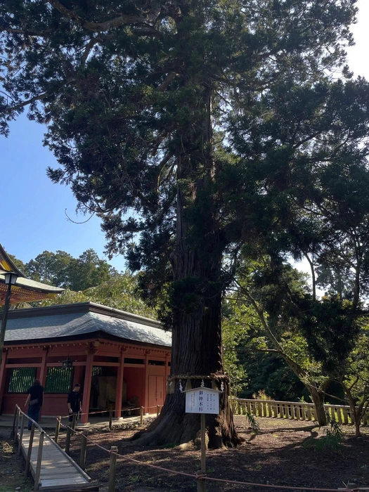 画像558